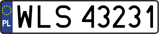 WLS43231