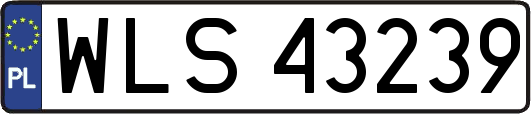 WLS43239