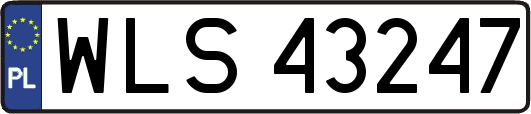 WLS43247