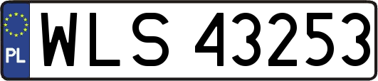 WLS43253