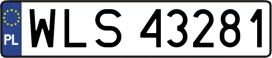 WLS43281