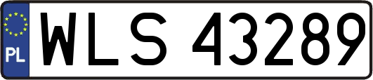 WLS43289