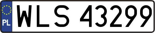 WLS43299