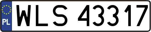 WLS43317