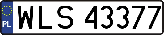 WLS43377