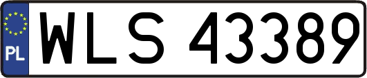 WLS43389