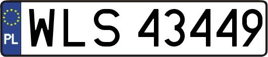 WLS43449