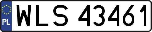 WLS43461