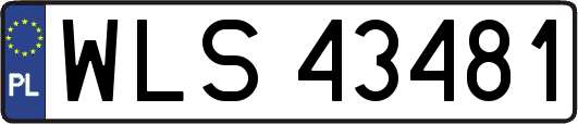WLS43481