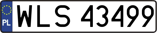 WLS43499