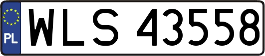 WLS43558