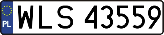 WLS43559