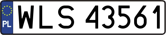 WLS43561