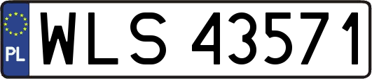 WLS43571