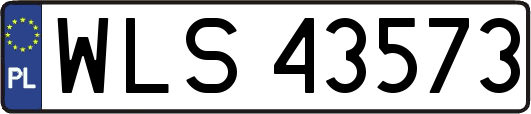 WLS43573