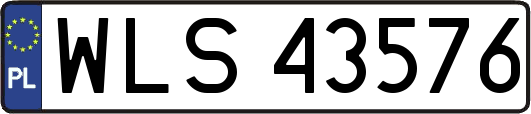 WLS43576