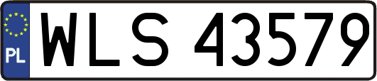 WLS43579