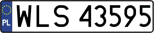 WLS43595