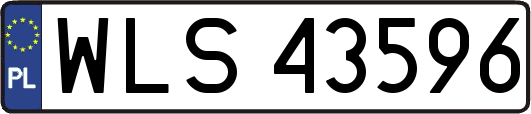 WLS43596