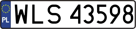 WLS43598