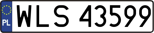 WLS43599