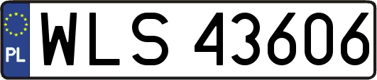 WLS43606