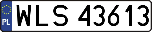 WLS43613
