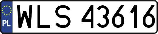 WLS43616