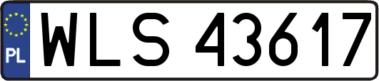 WLS43617