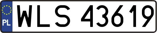 WLS43619
