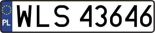 WLS43646