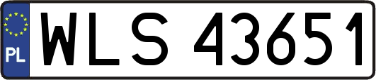 WLS43651