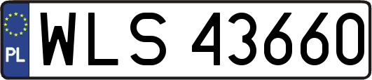 WLS43660