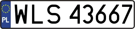 WLS43667