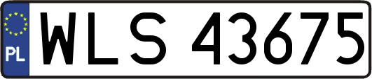 WLS43675