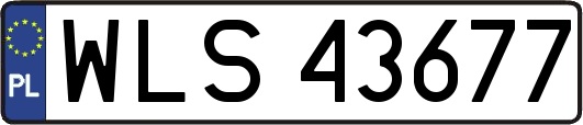 WLS43677