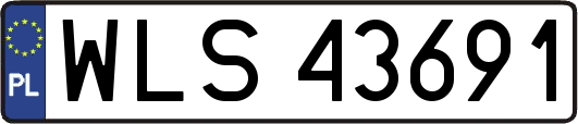WLS43691