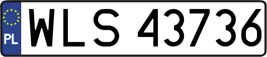 WLS43736