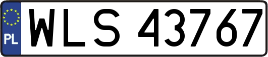 WLS43767