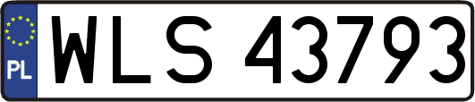 WLS43793
