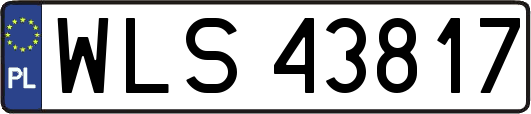 WLS43817
