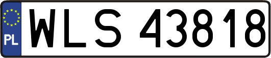 WLS43818