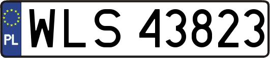 WLS43823