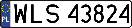 WLS43824