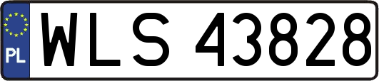 WLS43828