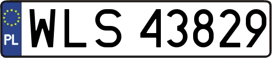 WLS43829