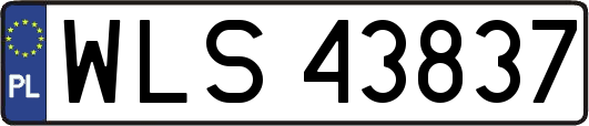 WLS43837