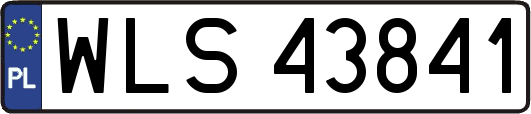 WLS43841