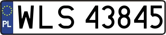 WLS43845
