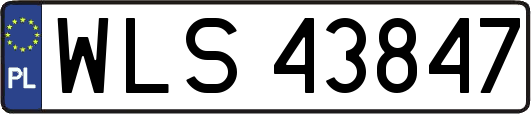 WLS43847